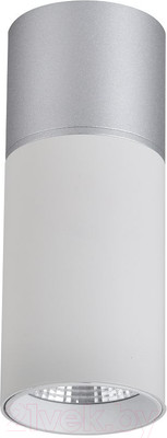 Потолочный светильник FAVOURITE 3071-1C