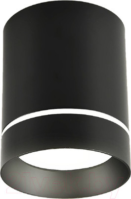 Потолочный светильник FAVOURITE 3063-1C