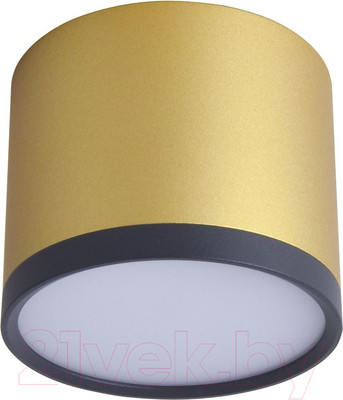 Потолочный светильник FAVOURITE 3082-2C