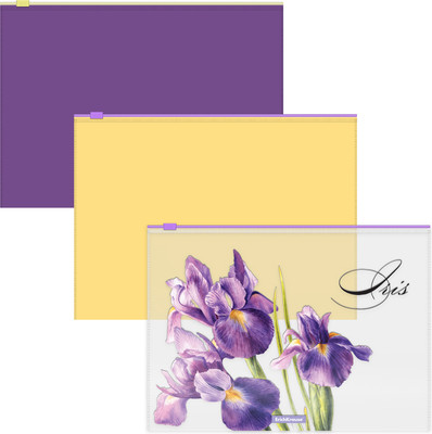 Набор папок Erich Krause Soft Iris / 55124 (3шт, ассорти)