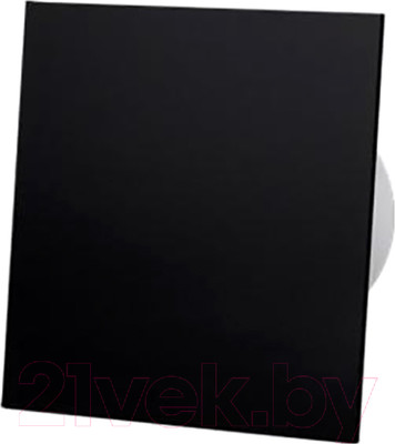 Вентилятор накладной AirRoxy dRim 100TS-C172