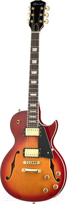 Электрогитара Caraya E239CS