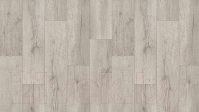 Линолеум Tarkett Club Arma 1 (2.5x5м)