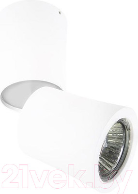 Точечный светильник Lightstar Rotonda 214456