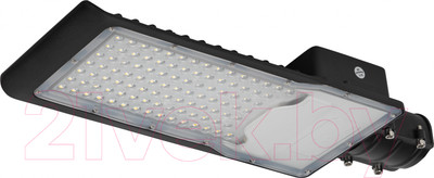 Светильник уличный ЭРА SPP-502-0-50K-080 / Б0051831