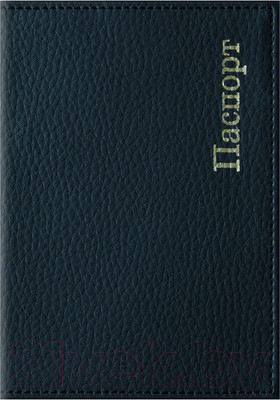 Обложка на паспорт OfficeSpace Комфорт / 254213 (черный)