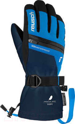 Перчатки лыжные Reusch Lando R-Tex Xt Junior Dress/ 6161243-4458 (р-р 4.5, Blue/Brilliant Blue)
