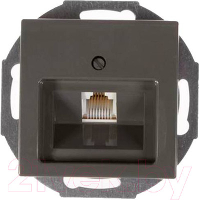 Розетка ABB Basic 55 / 13010404-05.38-01.01-01.00 (шато-черный, лицевая панель)