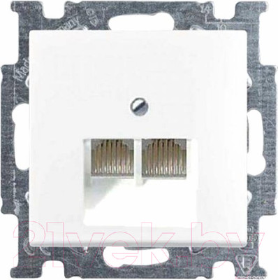 Розетка ABB Basic 55 / 13010416-01.39-01.01-01.00 (белый, лицевая панель)