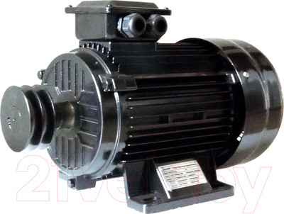 Двигатель для воздушного компрессора Eland EN-55/3