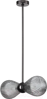 Потолочный светильник Odeon Light Elica 5417/2