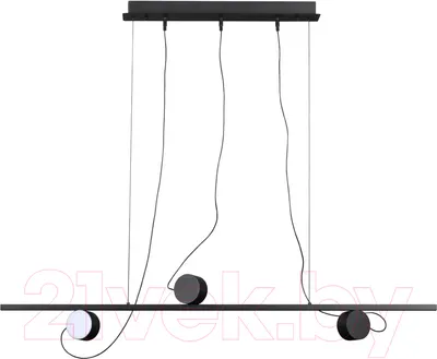 Люстра Odeon Light Nera 6600/21L