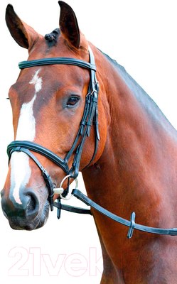Оголовье для лошади Shires Melton PONY / V442/BLACK/PONY (черный)