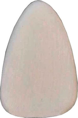 Медиатор Мозеръ P06