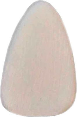 Медиатор Мозеръ P05