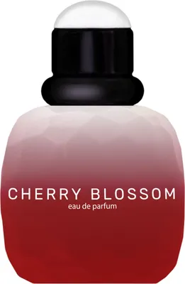 Парфюмерная вода Dilis Lost Paradise Cherry Blossom (60мл)