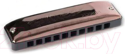 Губная гармошка Seydel Sohne Session Antique Bb / 10201BB-antiq