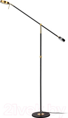 Торшер Odeon Light Denzel 4321/20FL