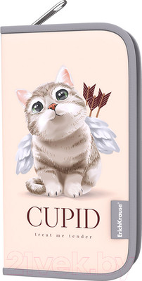 Пенал Erich Krause Cupids / 57511
