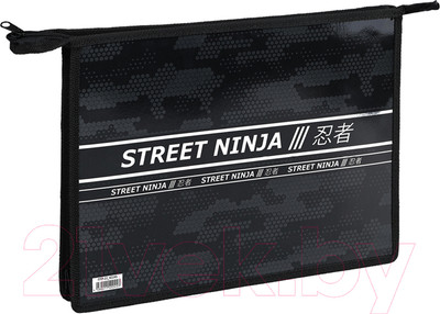 Папка для тетрадей ArtSpace Ninja / ПТР-22_42245