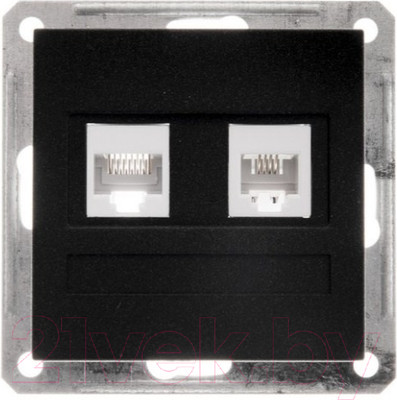 Розетка Systeme (Schneider) Electric W59 RSI-251TK5E-6-86