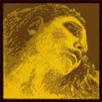 Струны для смычковых Pirastro Evah Gold Violin 415091