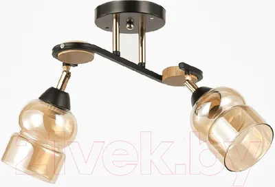 Светильник Mirastyle WX-8017/2 BK+FG+BWD