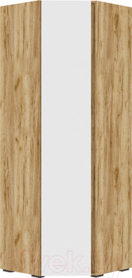 Шкаф Стендмебель Хелен ШК 04 угловой (белый/дуб крафт золотой)