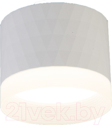 Светильник ЭРА OL37 WH / Б0056385