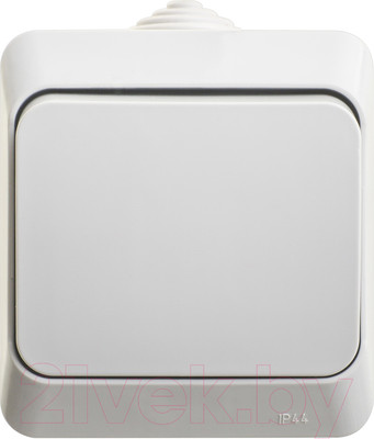 Выключатель Systeme (Schneider) Electric Этюд BA10-046C