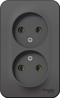 Розетка Systeme (Schneider) Electric Blanca BLNRA000216