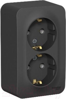 Розетка Systeme (Schneider) Electric Blanca BLNRA010216