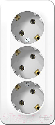 Розетка Systeme (Schneider) Electric Blanca BLNRA010311