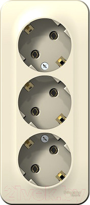 Розетка Systeme (Schneider) Electric Blanca BLNRA010312