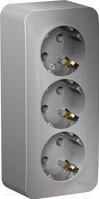 Розетка Systeme (Schneider) Electric Blanca BLNRA010313