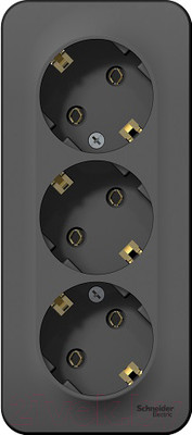 Розетка Systeme (Schneider) Electric Blanca BLNRA010316