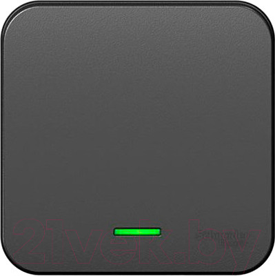 Выключатель Systeme (Schneider) Electric Blanca BLNVA101116