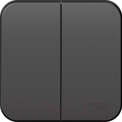 Выключатель Systeme (Schneider) Electric Blanca BLNVA105016