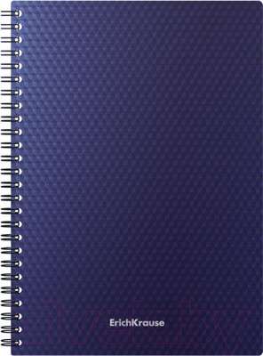 Тетрадь Erich Krause Total Blue А5 / 58551 (80л, клетка)