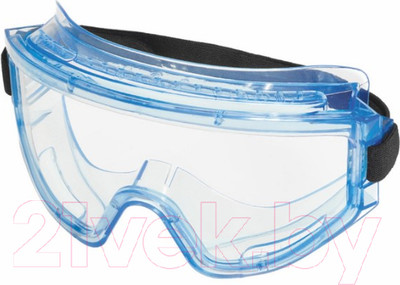 Защитные очки РОСОМЗ ЗНГ1 Panorama Super / 22130