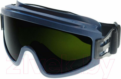 Защитные очки РОСОМЗ ЗН11 Panorama StrongGlass 6 РС / 24135