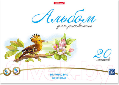 Альбом для рисования Erich Krause Birds / 58556