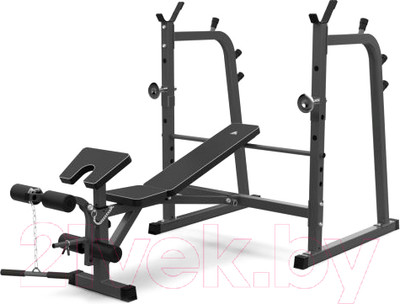 Скамья для жима штанги DFC D709
