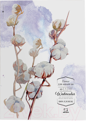 Набор бумаги для рисования Малевичъ 402207