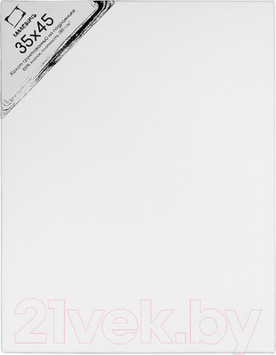 Холст для рисования Малевичъ На подрамнике / 233545 (35х45см, хлопок)