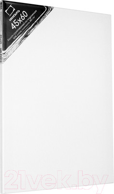 Холст для рисования Малевичъ На подрамнике / 214560 (45х60см, хлопок)