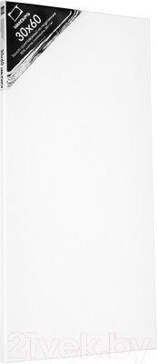 Холст для рисования Малевичъ На подрамнике / 213060 (30х60см, хлопок)