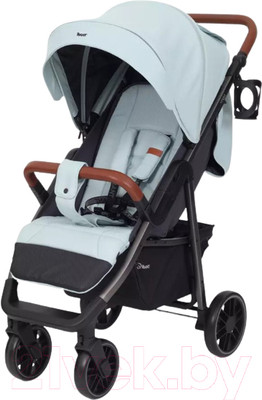 Детская прогулочная коляска Rant Vega 2023 / RA057 (синий)