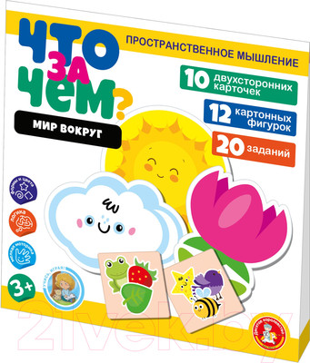 Развивающая игра Десятое королевство Что за чем? Мир вокруг / 04699
