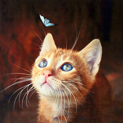 Набор алмазной вышивки Darvish Котенок с бабочкой / DV-13760-17